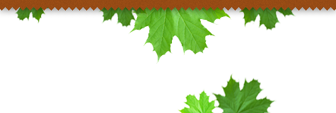 Whispering Creek Landscape Dayton Ohio