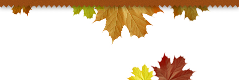 Whispering Creek Landscape Dayton Ohio