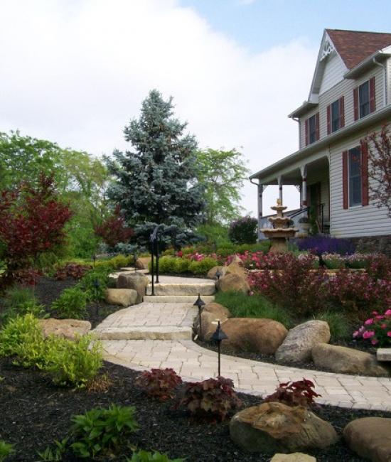 From Design to Maintenance, We Handle It All