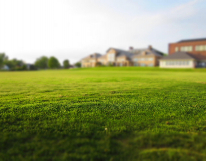 Initial Consultation