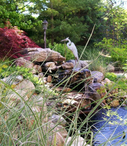 Landscape Maintenance